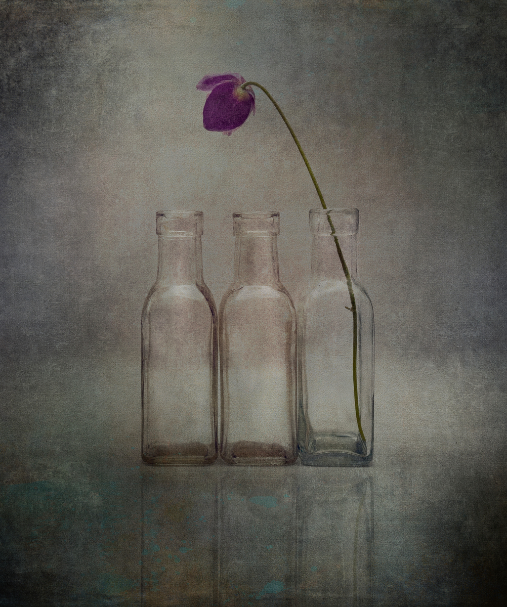 ONE LEFT STANDING by Julie Elmes